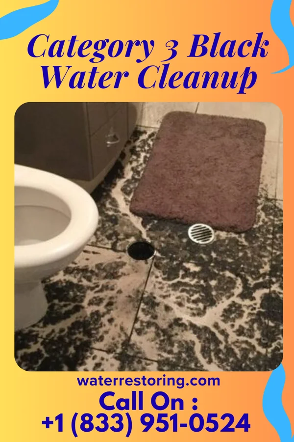 Category 3 Black Water Cleanup in Sylvan Lake, MI