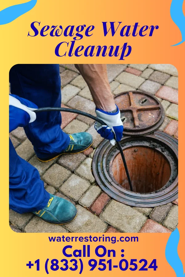 Sewage Water Cleanup in Sylvan Lake, MI